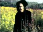 Lenny Kravitz - Let Love Rule