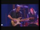 Walter Trout - Dust my broom