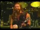 Black Label Society- Bleed For Me (Live)