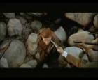 Meat Loaf - I'd Lie For You (and that's the Truth) Videoclip