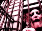 Madball - Down By Law