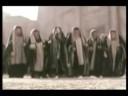 Egészséges Fejbőr - Egy ember