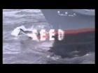 Nadir - Feed On Me