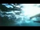 Angra - Hollow  - Video  - Aqua 2010