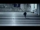 Stratovarius - Hunting High and Low music video