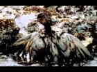 Nadir - Plunderers Of The Earth official video (2012)